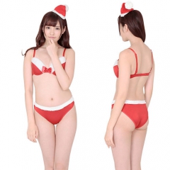 真冬のサンタビキニ