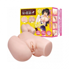 ボクのカノジョは発情期