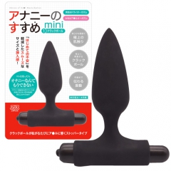 アナニーのすすめ mini1 クラックボール