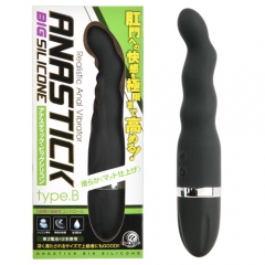 アナスティック ビッグシリコン TYPE B