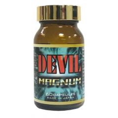 DEVIL MAGNUM デビルマグナム