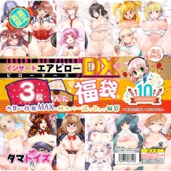 インサートエアピローDX用ピローケースが3枚入った福袋 10th Anniversary
