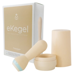 Femimate eKegel フェミメイト イーケーゲル