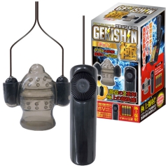 GEKISHIN 極 デュオ