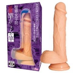 聖華女学院公認竿おじさんの竿