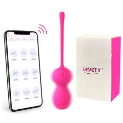 LEVETT Vale APP ローター