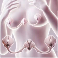 UEROS Vibrating Nipple Clamps バイブレーティング ニップルクランプス