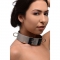 オールスチール製の首枷　Stainless Steel Locking Bondage Collar